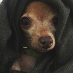 Meet your Posher, Deborah